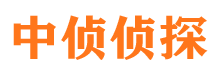 安县市侦探公司